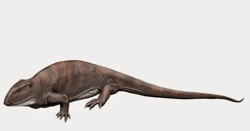 Представитель карбоновых синапсид