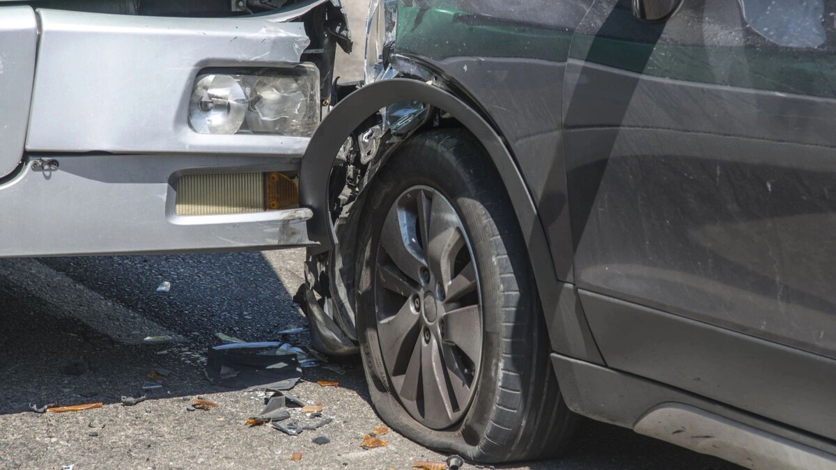    Фото: Daniel Reiner/Shutterstock/Fotodom