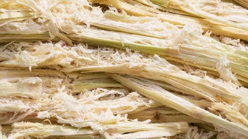 Мякоть сахарного тростника