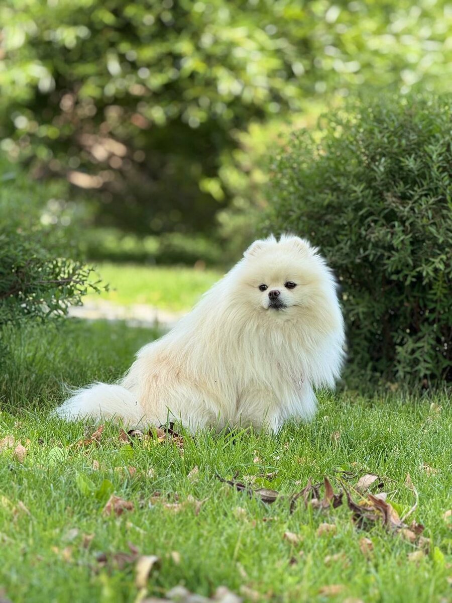 Фото: Как в Волгу глядели 