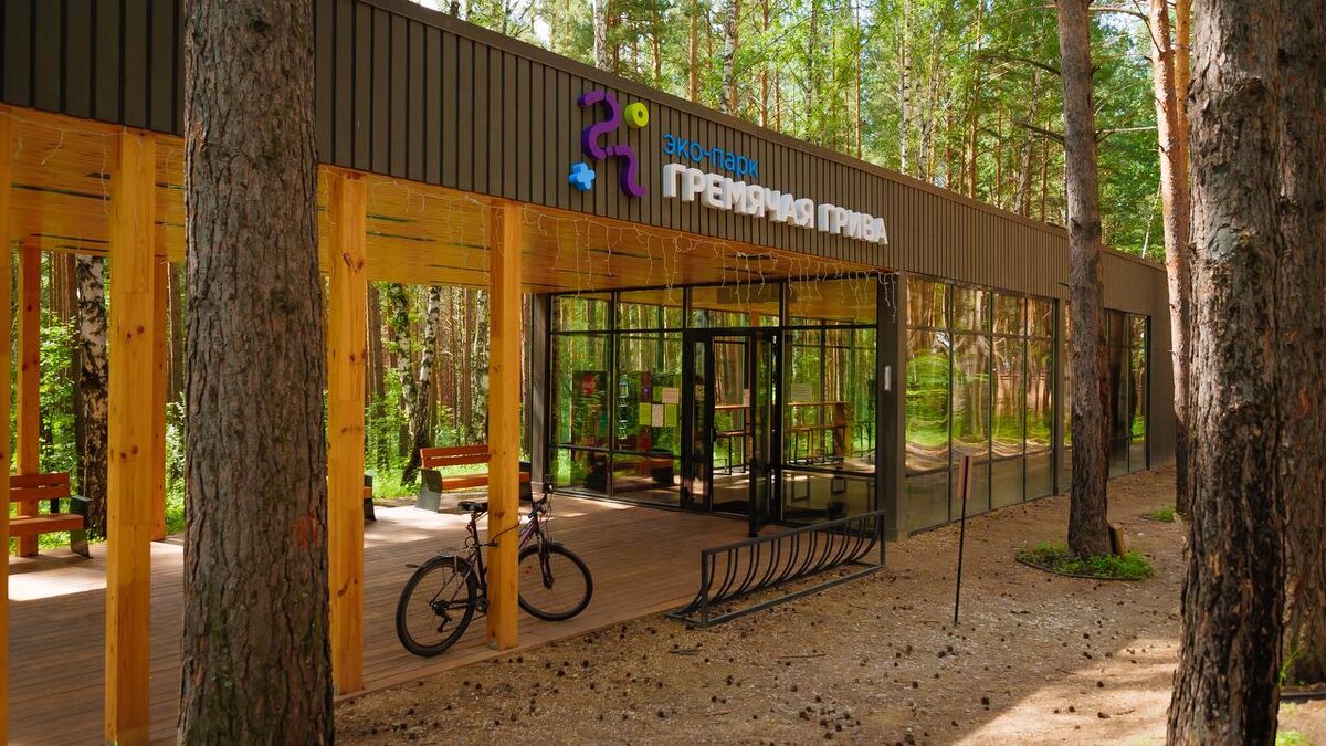     Пожилых красноярцев приглашают на бесплатную экскурсию по «Гремячей гриве»