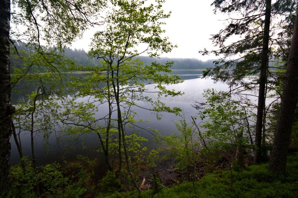 Окрестности Белого озера