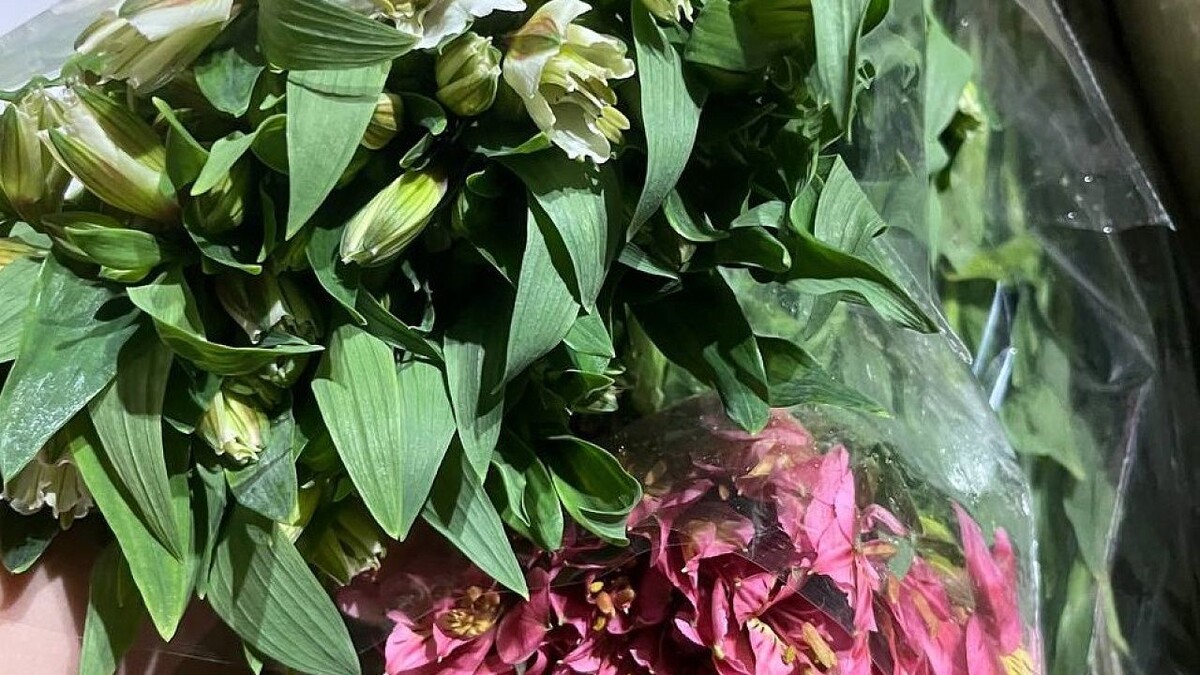    Фото: ЮМУ Россельхознадзора