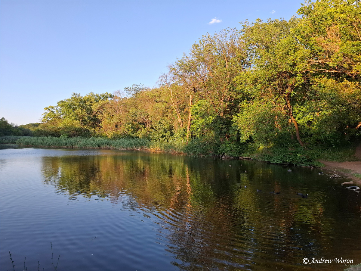 Средний пруд в Кизитериновской балке
