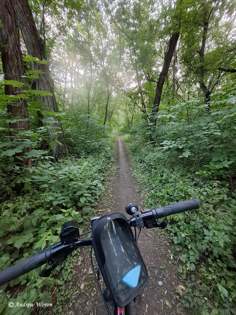 По зеленому тоннелю