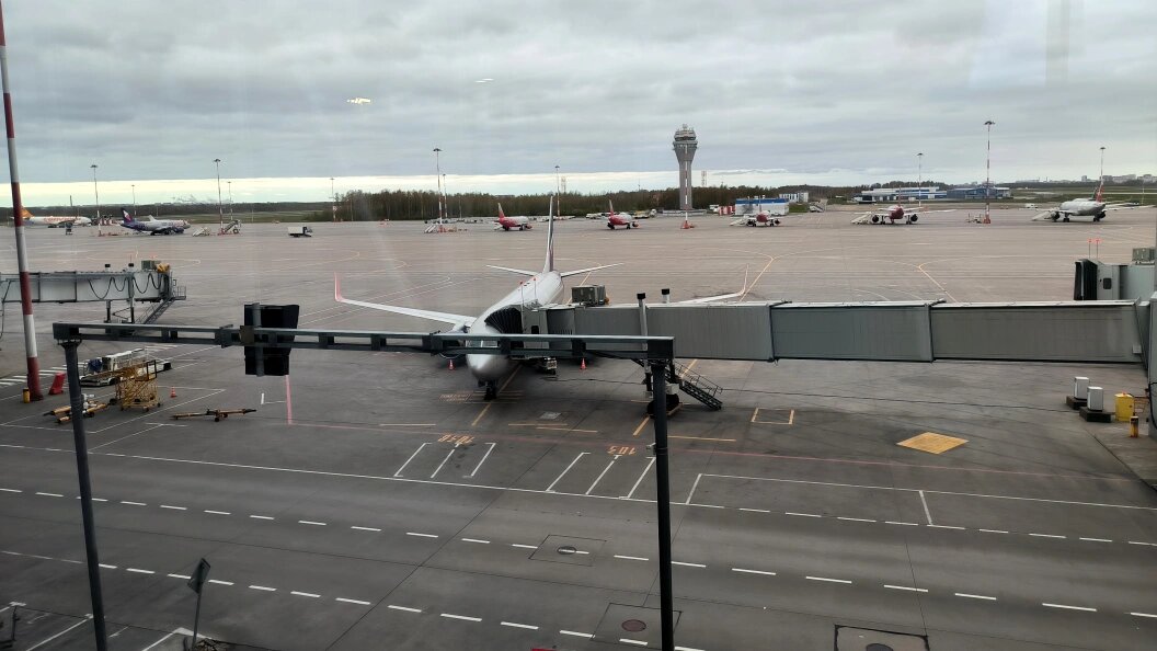    Фото: Maksim Konstantinov/Globallookpress