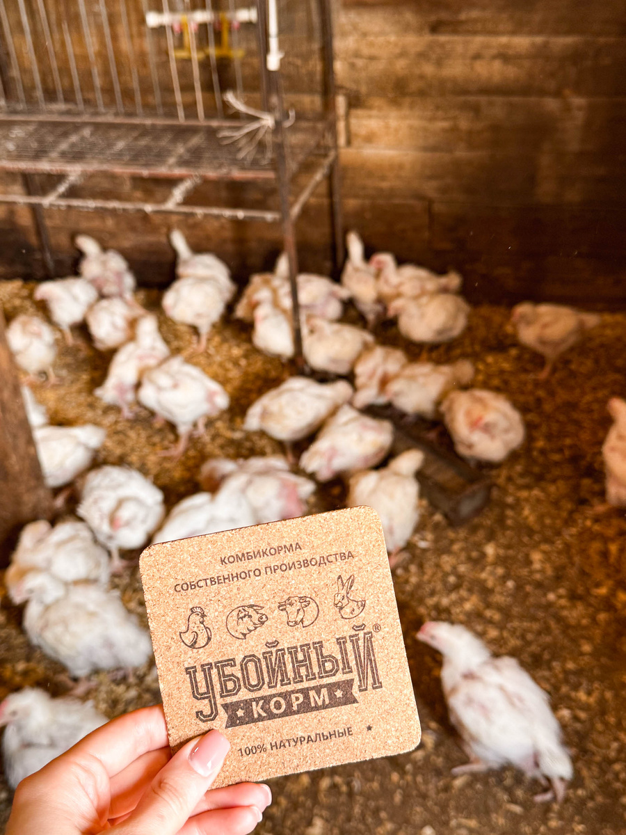 Полнорационный комбикорм для птиц способствует восстановлению пера