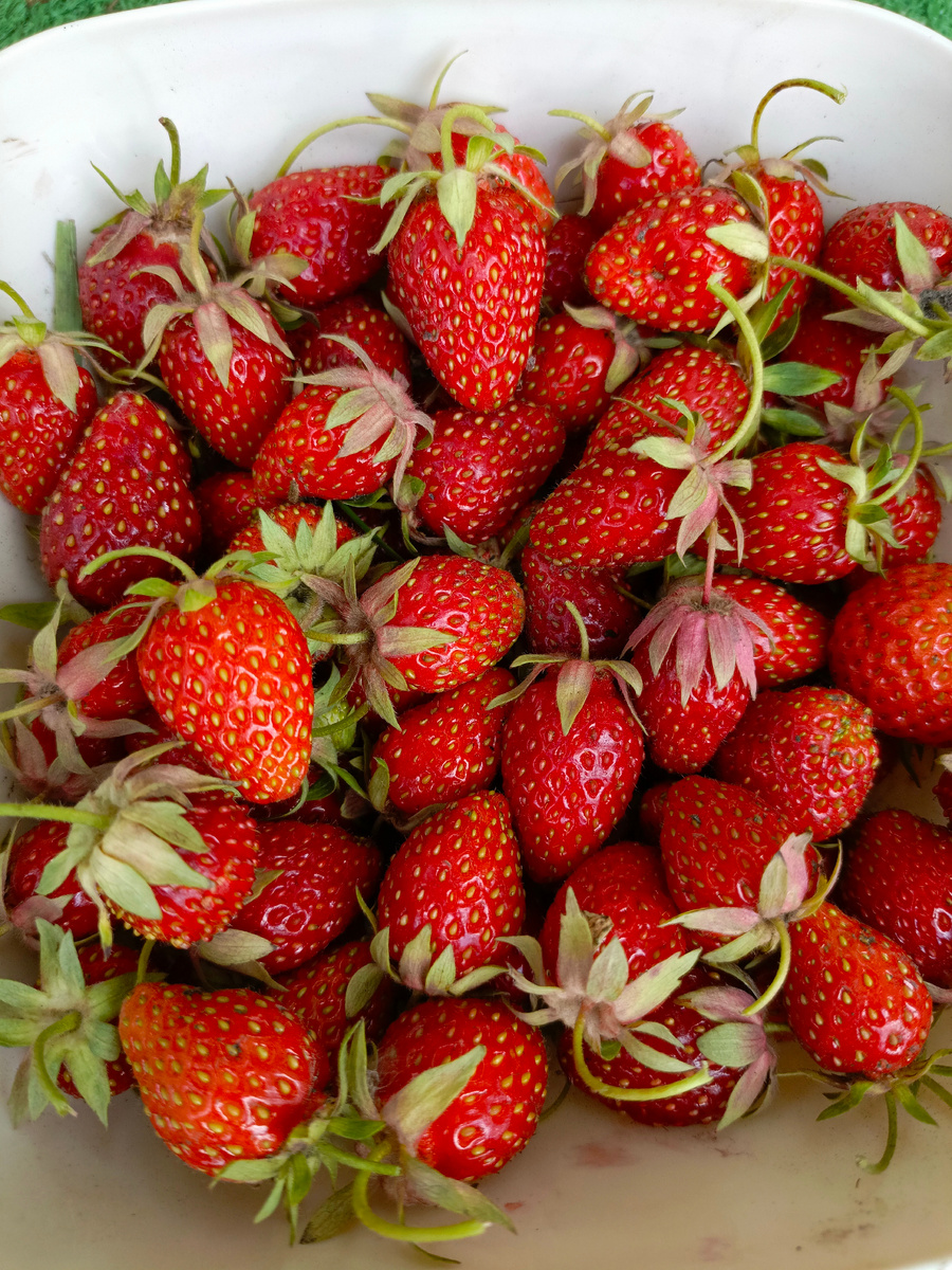 Фото автора .