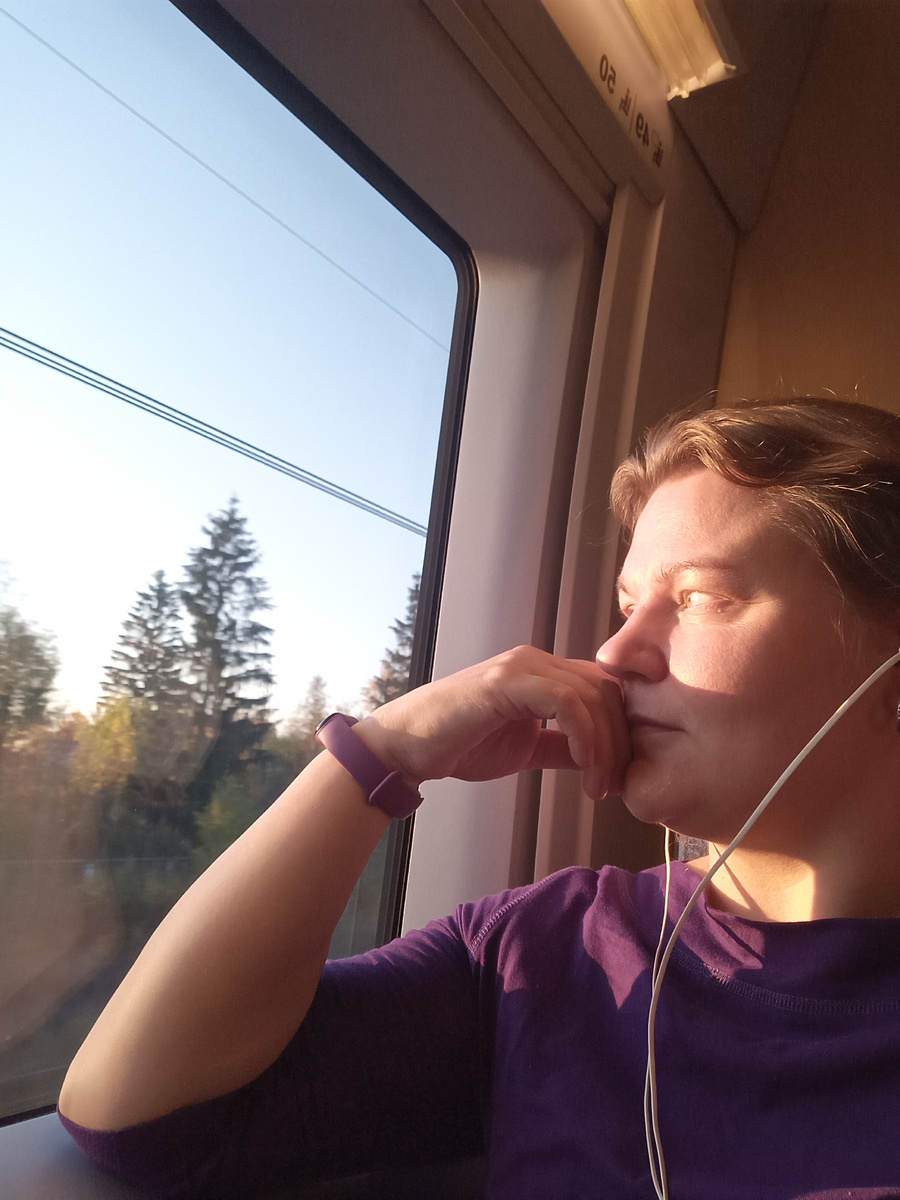 Сапсан несёт меня в Питер