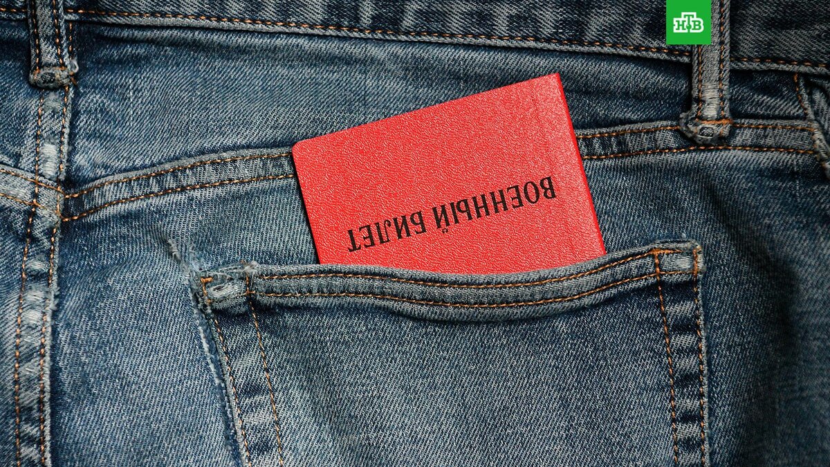    Фото: РИА Новости © 2025, Алексей Майшев