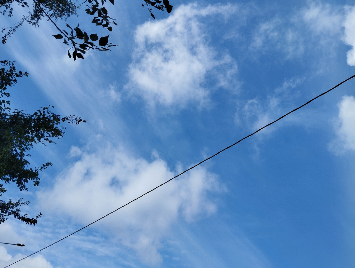 А нам сегодня солнца завезли!☀️И неба голубого кусочек выделили. ЗДЕСЬ и далее фото автора и(или) из личного архива автора, если не указано иначе.