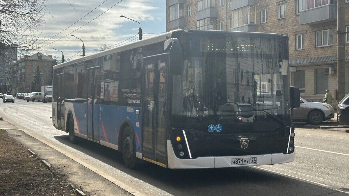     Источник: 1MI