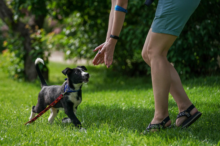    Фото: пресс-служба комплекса городского хозяйства города Москвы Екатерина Шахнина