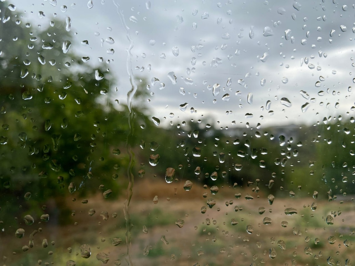    Фото: "Крым 24" Elena Maltseva