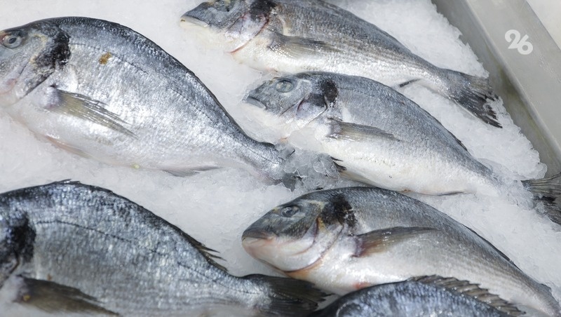      Фото: Дмитрий Ахмадуллин / / ИА «Победа26»