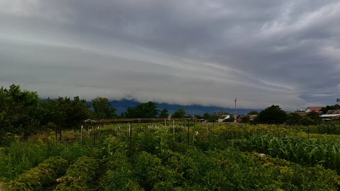 Жаль фото не передает всей многослойности облаков и красок перед началом буйства стихии.