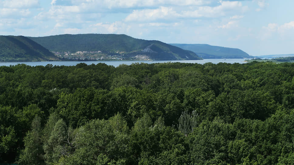 Фото: Юрий Стрелец / Коммерсантъ