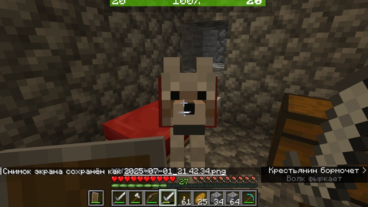 Лучше бы я его с собой не брал...