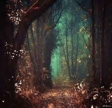 Картинка из общего доступа. 