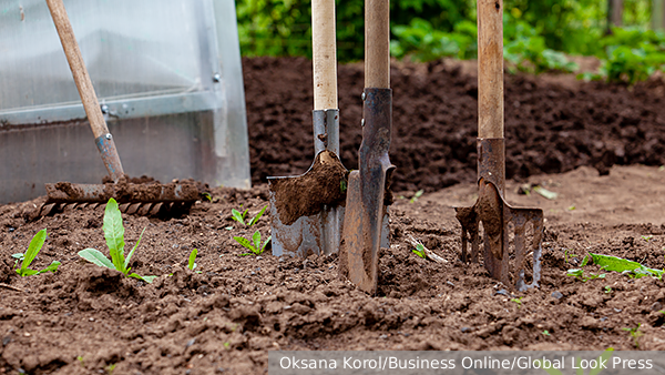     Фото: Oksana Korol/Business Online/Global Look Press   
 Текст: Татьяна Косолапова