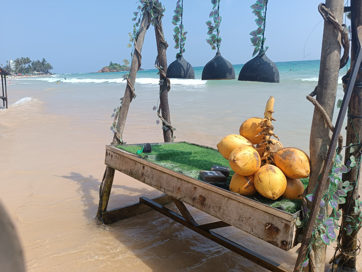 "Королевские" кокосы - природный напиток пили без опаски за здоровье