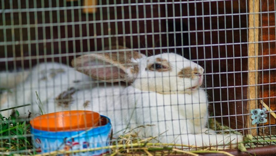    Фото: KazanFirst