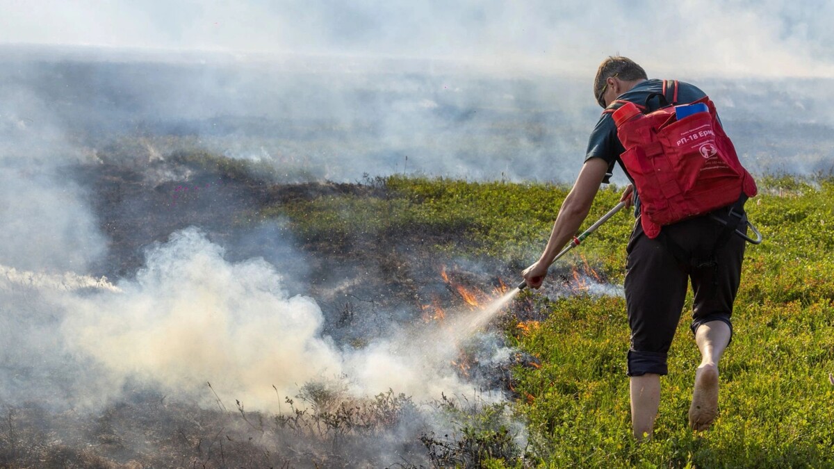    Фото: Юлия Чудинова/«Ямал-Медиа»