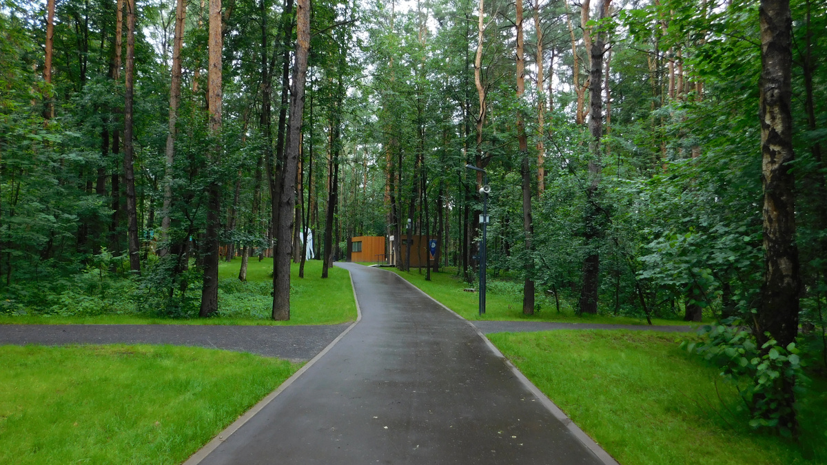 Первая развилка возле входа со стороны улицы Народного ополчения, также ведёт ко входу со стороны улицы Карбышева, и к дороге в сторону стадиона «Зоркий» и СНТ «Садовод-Сад-3»