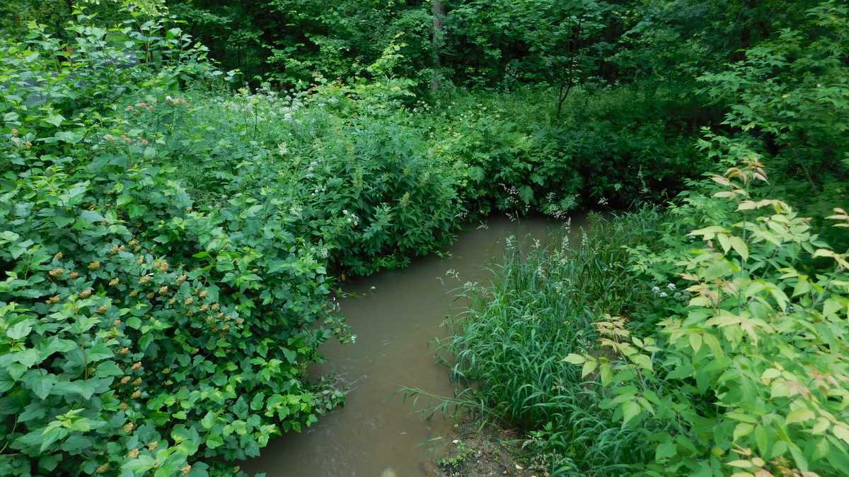 Река «Банька» вид с моста