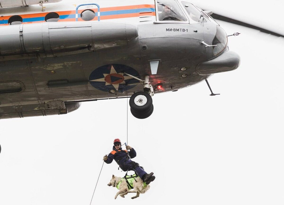 Фото МЧС России