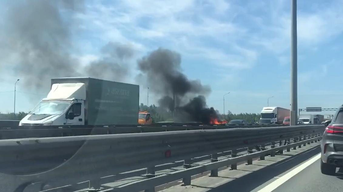    Фото: vk.com/spb_today