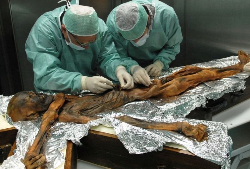 Последний ужин «ледяного человека»: что ел Эци 5300 лет назад