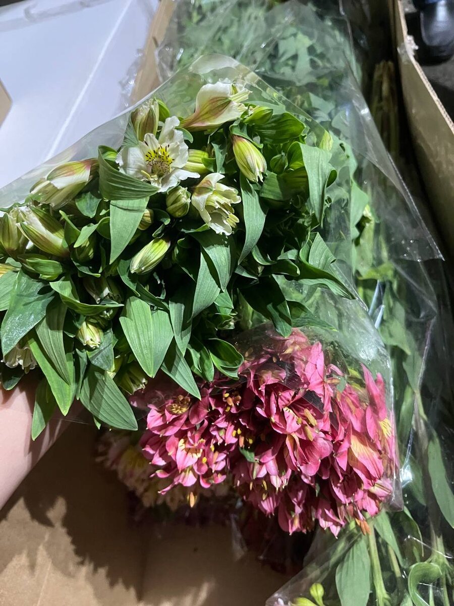    Фото: Telegram\Южного межрегионального управления Россельхознадзора