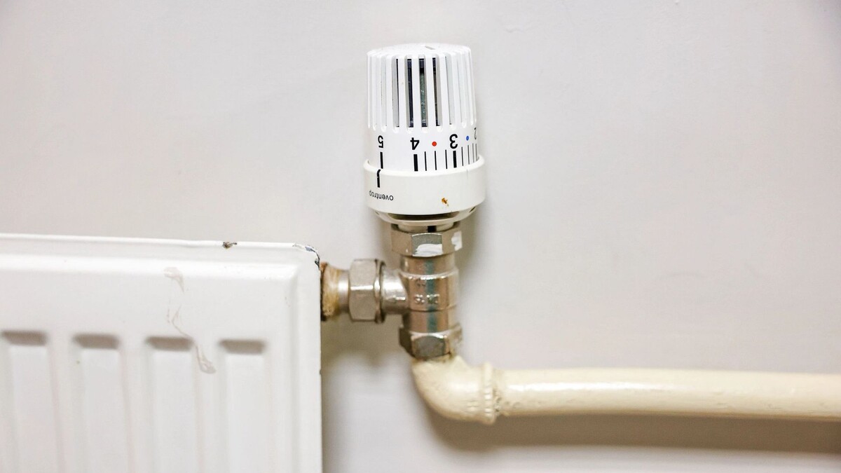    Фото: Андрей Ткачев / «Ямал-Медиа»