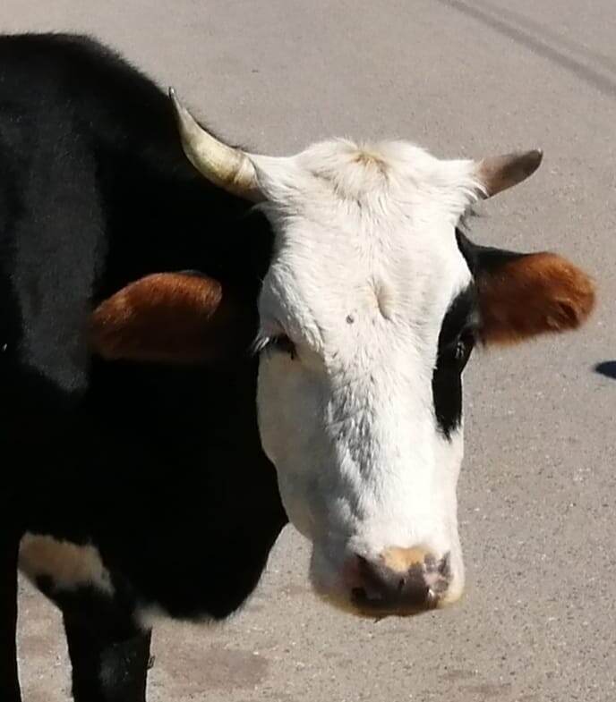    Фото для иллюстрации Редакция газеты "Наш край"