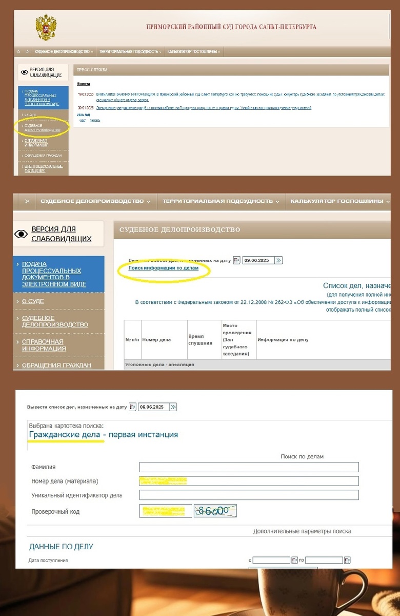 Поиск информации о деле на сайте районного суда