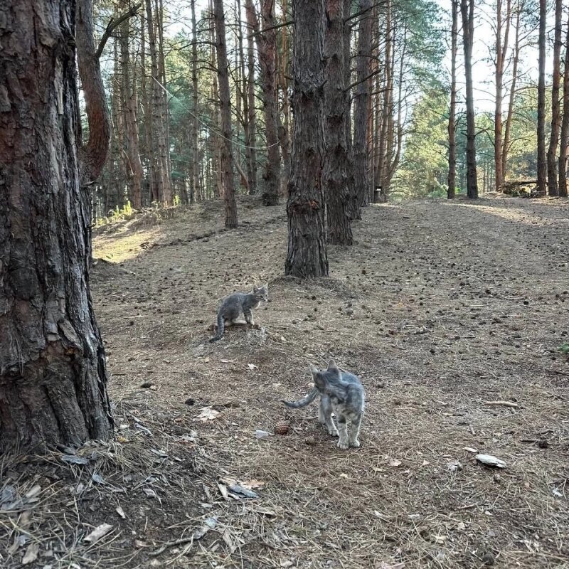    Фото: Из архива/ АНО «СодружстВО»
