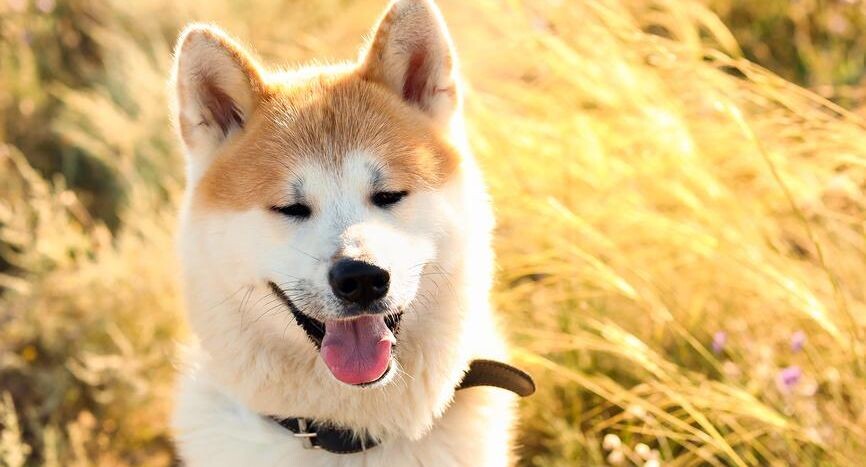    Pixel_shot / Фотобанк Лори