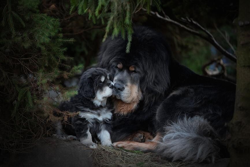    Писарев Александр Владимирович / Фотобанк Лори