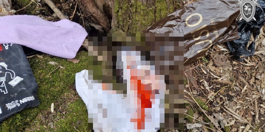 «Завернули в пакет и бросили умирать»: в Подмосковье подростки нашли тело малыша