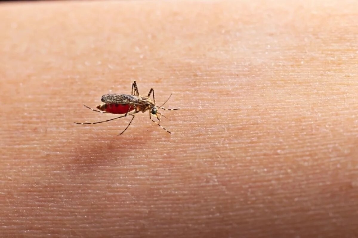    Пытаясь защититься от комаров, ребёнок из Удмуртии получил ожоги 30% тела