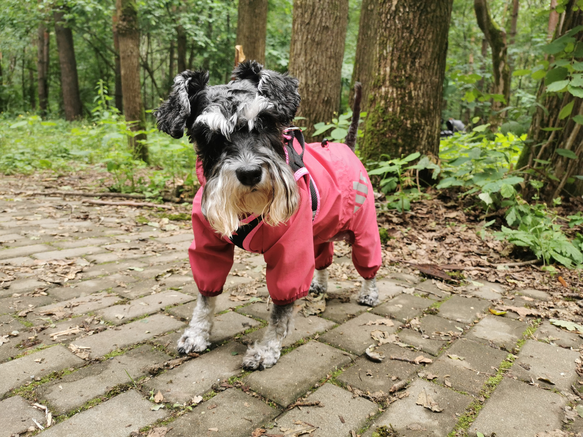 Джесс сегодня 