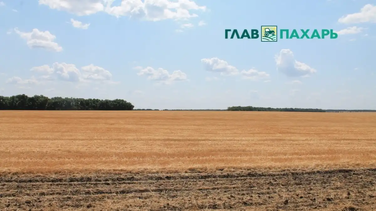 Фото: © Артём Борисов / Glavpahar.ruФотография носит иллюстративный характер