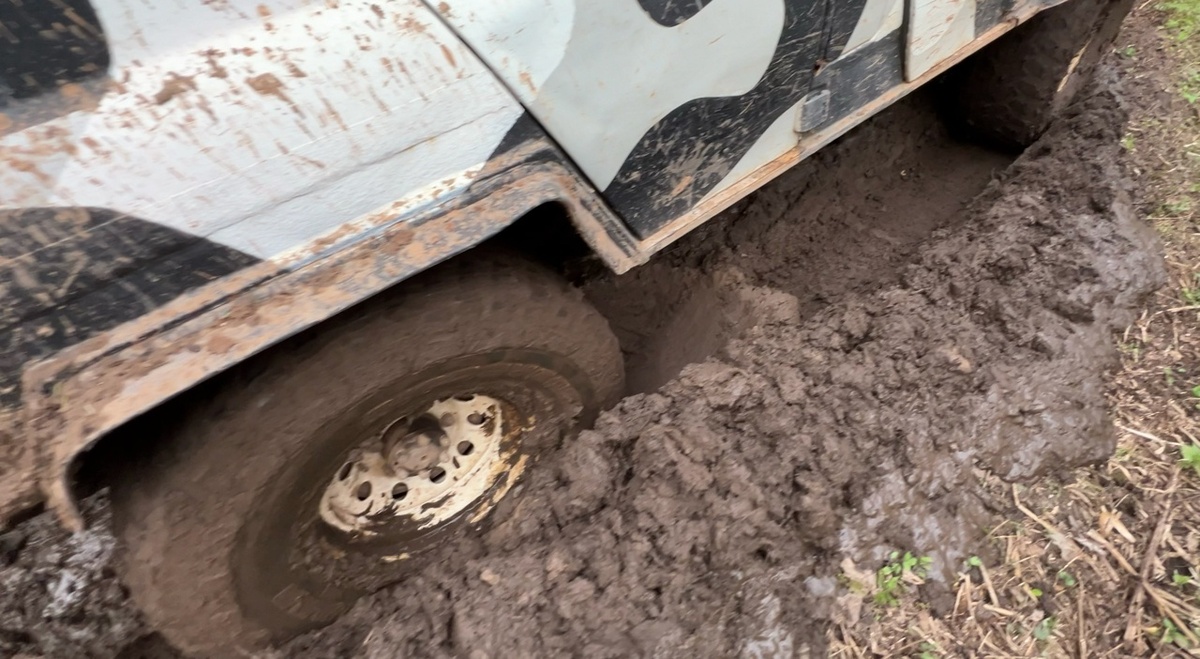 фото автора канала