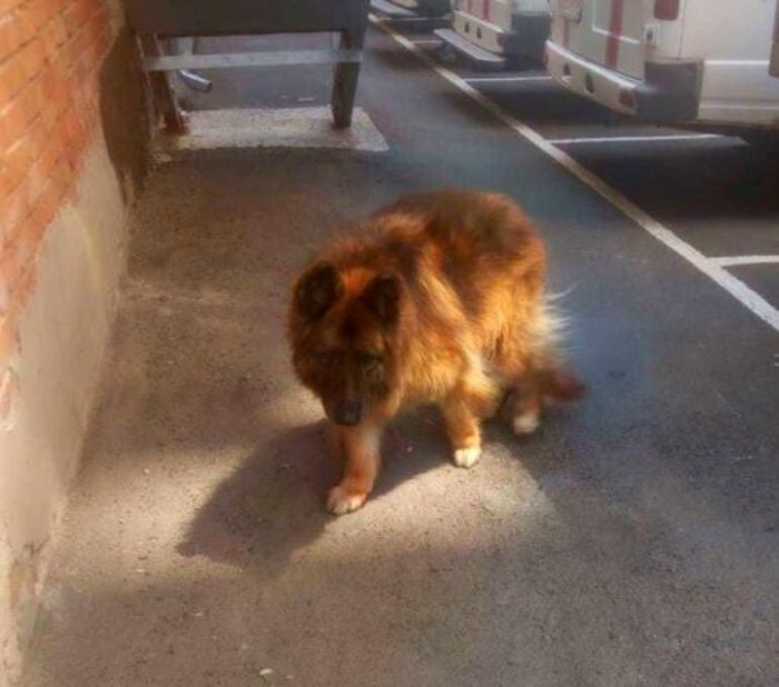 Источник фото: УГОЧС