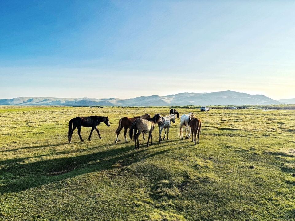    Поездка в кластер "Аргут". Источник: t.me/sailugem