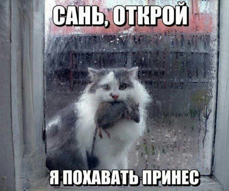 -4