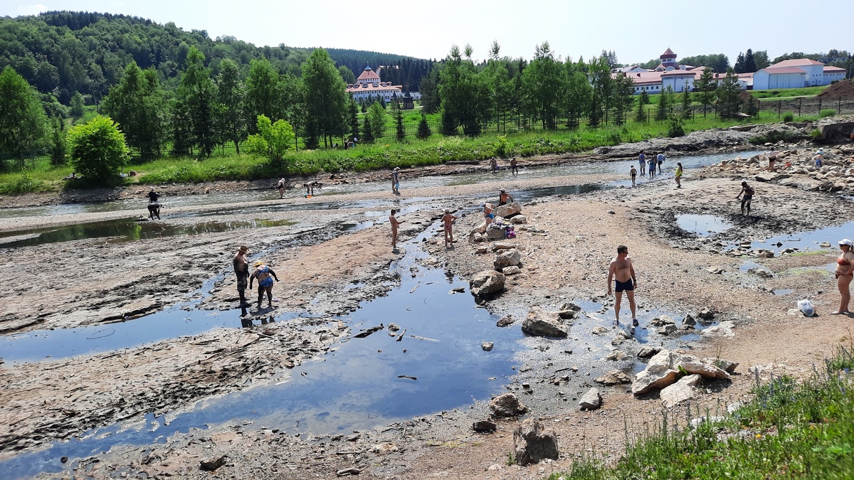    Фото: vk.com/aleksandr_veselov_ecology