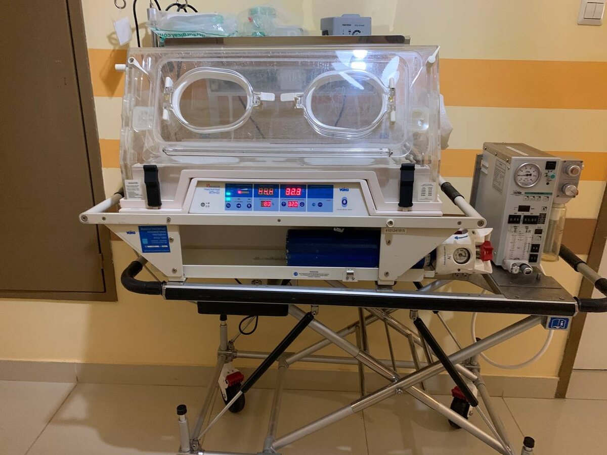 Фото: архив МК в Питере