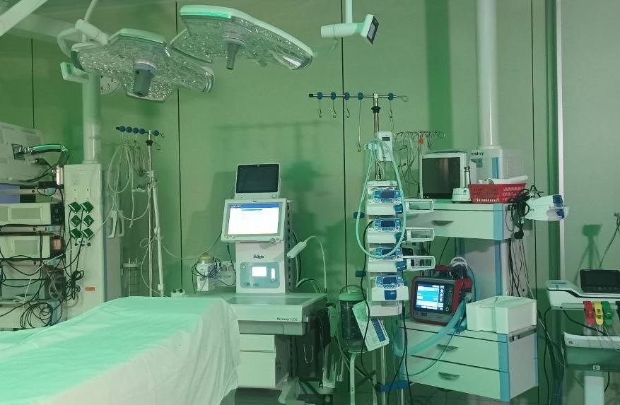 Фото: архив МК в Питере